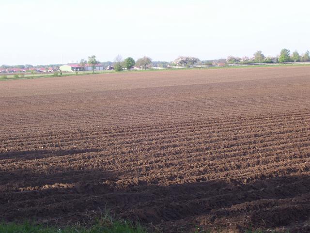 Steinkuhle 2008 (6).JPG